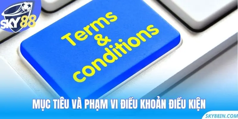 Mục tiêu và phạm vi điều khoản điều kiện